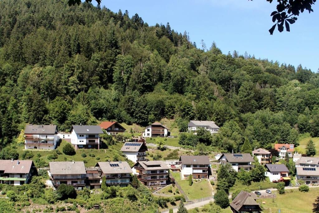 Ferienwohnung Schwarzwaldblick Bad Rippoldsau-Schapbach Экстерьер фото