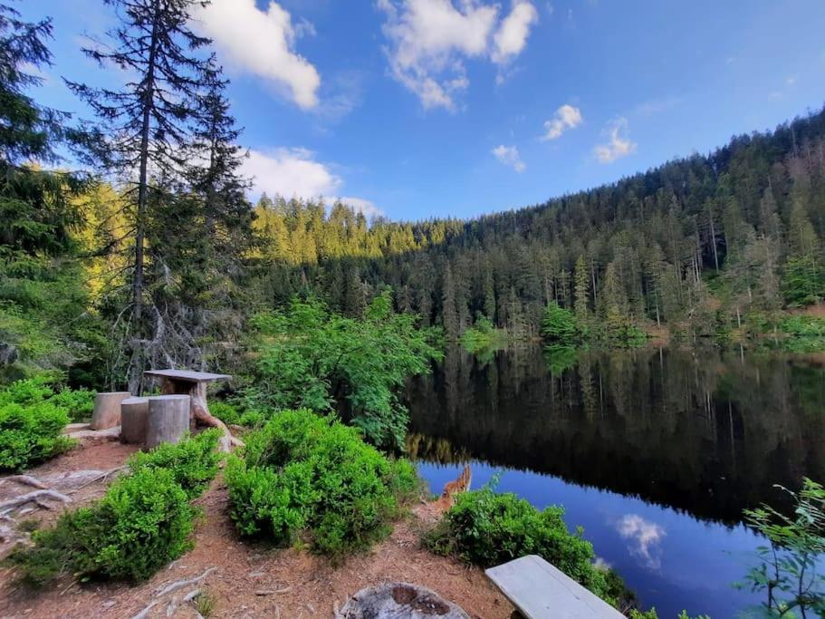 Ferienwohnung Schwarzwaldblick Bad Rippoldsau-Schapbach Экстерьер фото