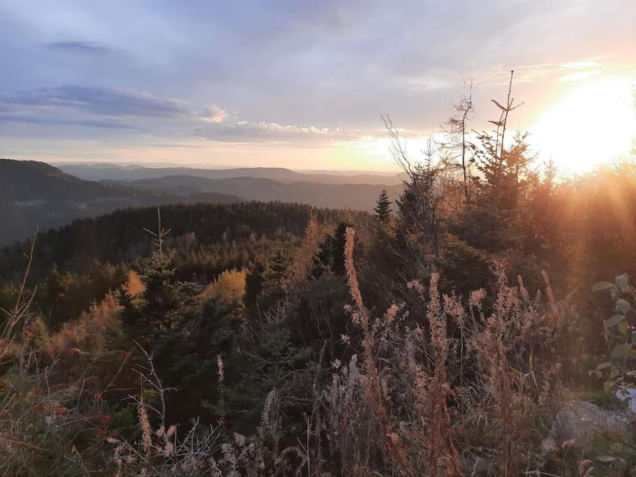 Ferienwohnung Schwarzwaldblick Bad Rippoldsau-Schapbach Экстерьер фото