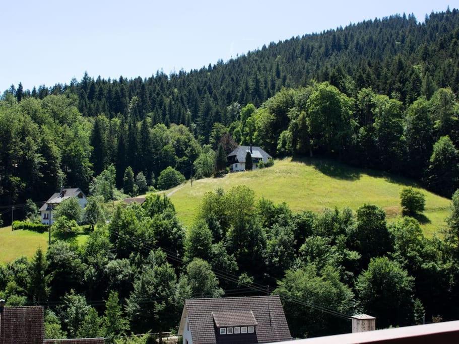 Ferienwohnung Schwarzwaldblick Bad Rippoldsau-Schapbach Экстерьер фото