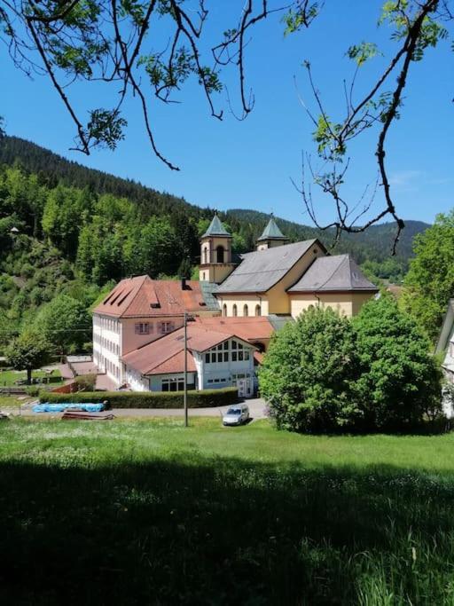 Ferienwohnung Schwarzwaldblick Bad Rippoldsau-Schapbach Экстерьер фото
