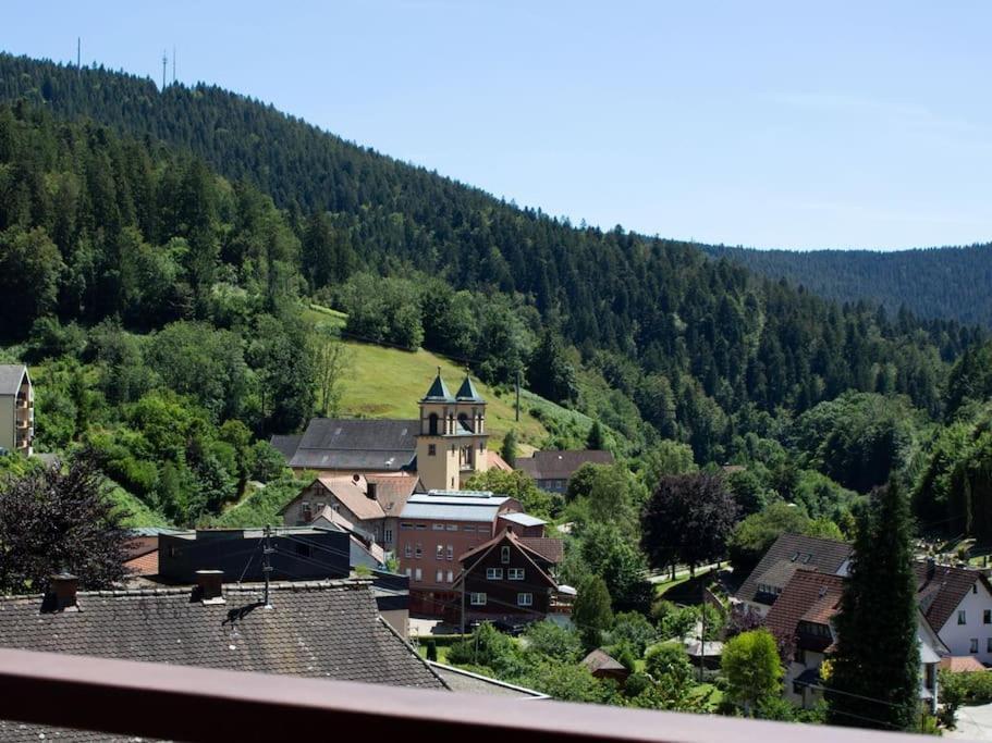 Ferienwohnung Schwarzwaldblick Bad Rippoldsau-Schapbach Экстерьер фото