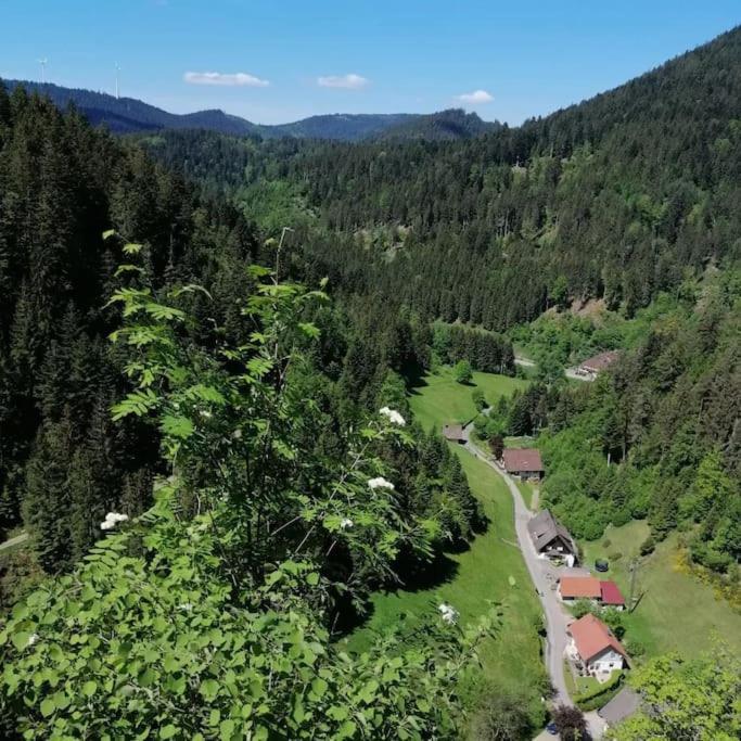 Ferienwohnung Schwarzwaldblick Bad Rippoldsau-Schapbach Экстерьер фото
