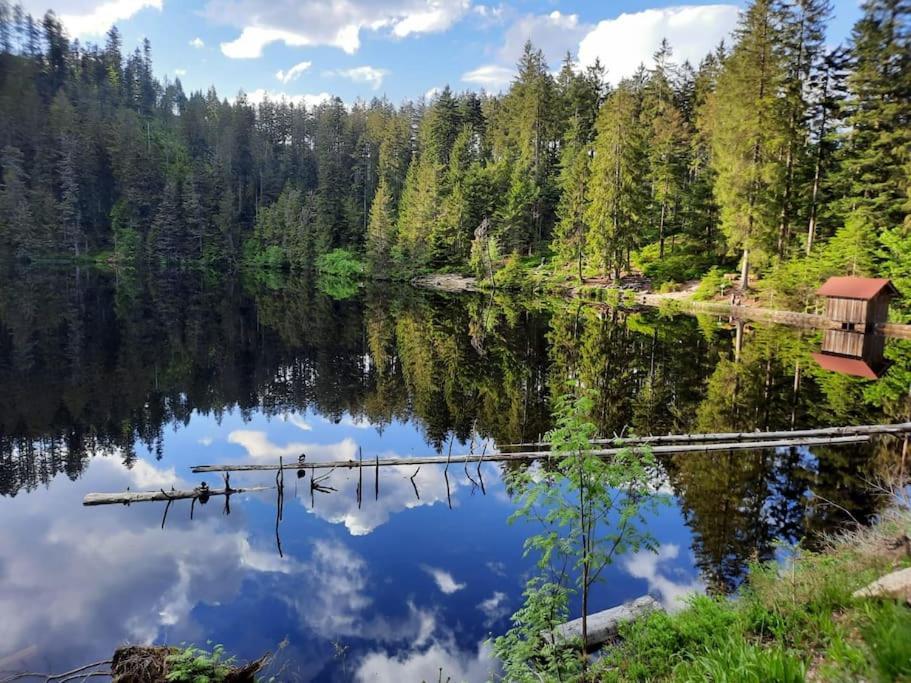 Ferienwohnung Schwarzwaldblick Bad Rippoldsau-Schapbach Экстерьер фото