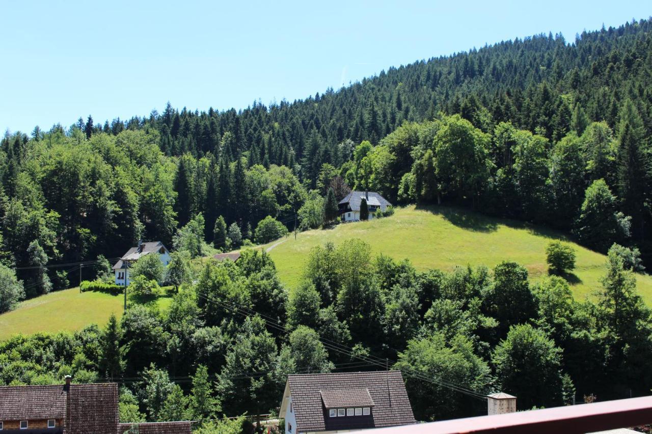 Ferienwohnung Schwarzwaldblick Bad Rippoldsau-Schapbach Экстерьер фото